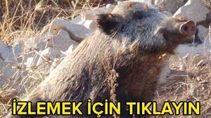 12 saat kurtarılmayı bekledi ama...