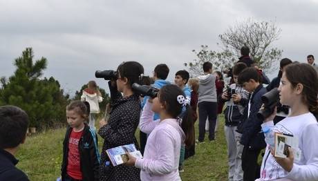 1. İSTANBUL KUŞ GÖÇÜ FESTİVALİ YAPILDI…