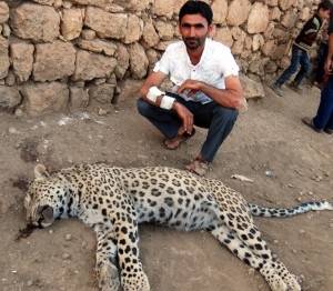 LEOPARIN ARDINDAN / Önder Cırık 