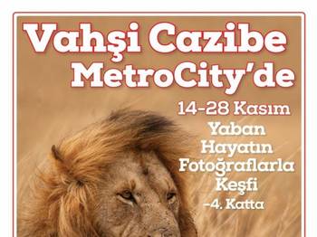 Vahşi Cazibe İstanbul'da