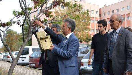 ÇOMÜ'lü kuşlar evlerine kavuştu