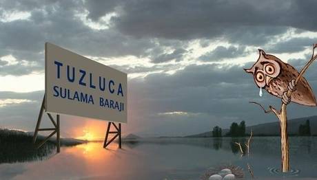 Aras Nehri İmza Kampanyası