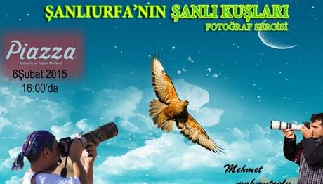 `Şanlı Kuşları`