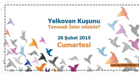 Yelkovan Kuşunu Tanımak İster misiniz?
