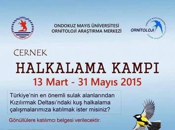 Cernek'te Çalışmalar Başlıyor