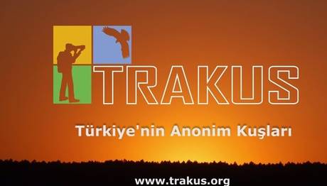 TRAKUS