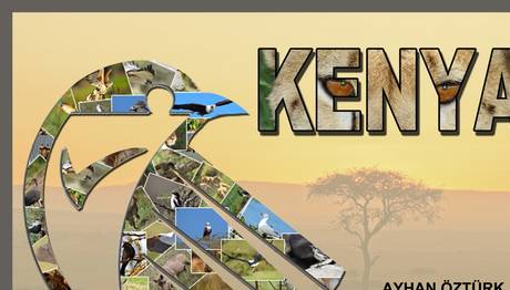 KENYADA FOTO SAFARİ FOTOĞRAF SUNUMU VE SÖYLEŞİSİ 