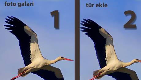 Yanlış Kullanım