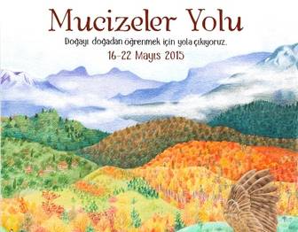 Mucizeler Yolu