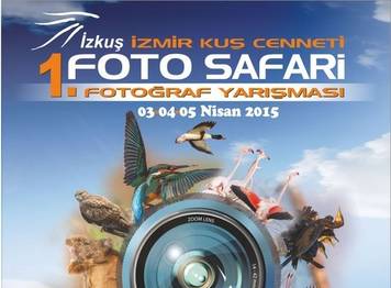 1. FOTO SAFARİ SONUÇLARI