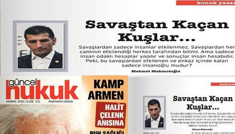 Savaştan Kaçan Kuşlar