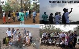 Öğretmenler Akyatan Yaban Hayatı Gözlem Kampı’na Çağırılıyor!