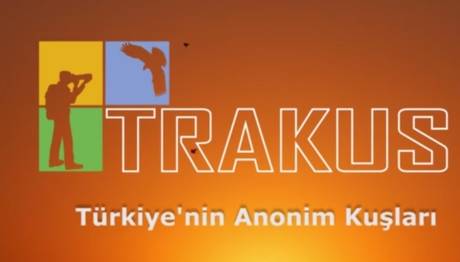 Video Kliplerinizi Bekliyoruz!