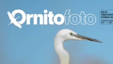 Ornitfoto Kuş Ve Yaban Hayat Dergisi