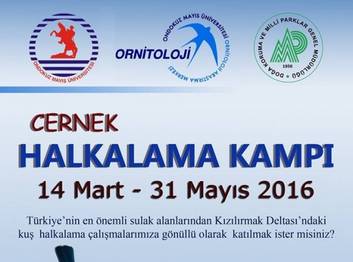 Cernek Halkalama Kampı 