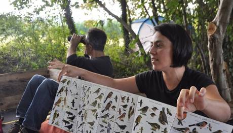 Kuş Gözlem Atölyesi ve Pelet İncelemesi