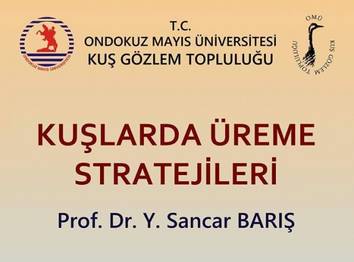 `Kuşların Üreme Stratejileri`