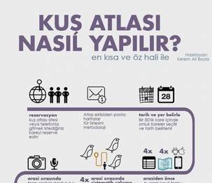 Kuş Atlası Nasıl Yapılır? 