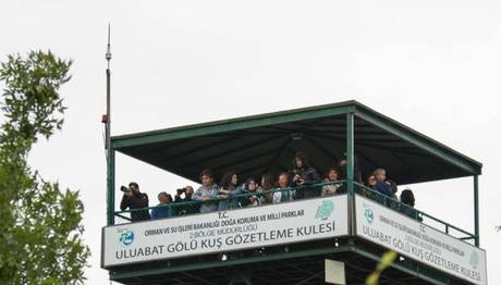 `Kuşlar da Gitti` Yoldaşlığında Gözlem