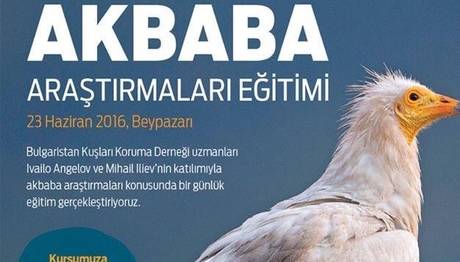 Akbaba Araştırmaları Eğitimi ve 17. Kuş Konferansı