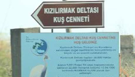 Örnek haber adı gelecek.