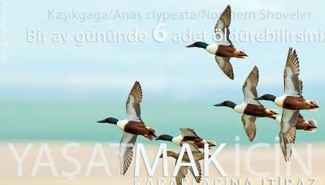Aman Avcı Vurma Beni