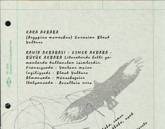 Örnek haber adı gelecek.