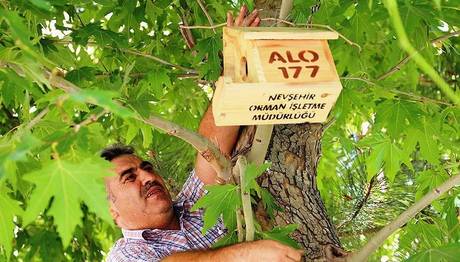 Örnek haber adı gelecek.