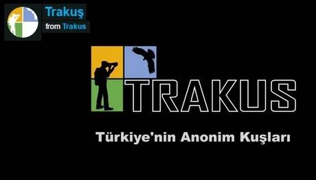 Örnek haber adı gelecek.