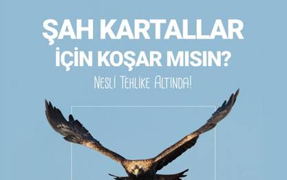 Örnek haber adı gelecek.