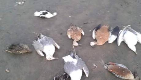 Örnek haber adı gelecek.