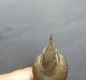 Örnek haber adı gelecek.