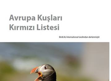 Örnek haber adı gelecek.