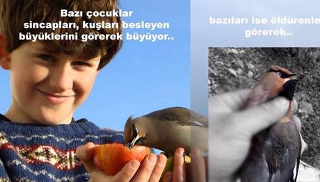 Örnek haber adı gelecek.