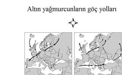 Örnek haber adı gelecek.