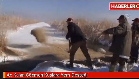 Aç Kalan Göçmen Kuşlara Yem Desteği