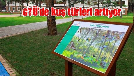 Örnek haber adı gelecek.