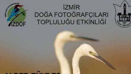 Karacabey Longozu Diye Bir Yer Var