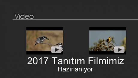 Örnek haber adı gelecek.