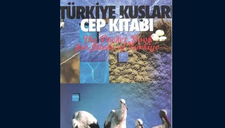 Örnek haber adı gelecek.