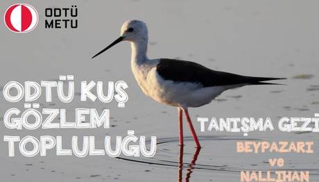 Örnek haber adı gelecek.