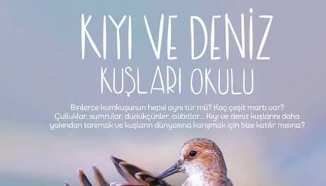 Örnek haber adı gelecek.