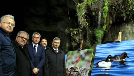 Müthiş Bir Haber