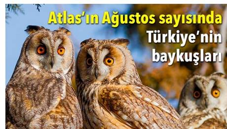 Trakus Atlas'ta