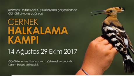 Halkalama Başlıyor