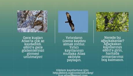 Türkiye Üreyen Kuş Atlası