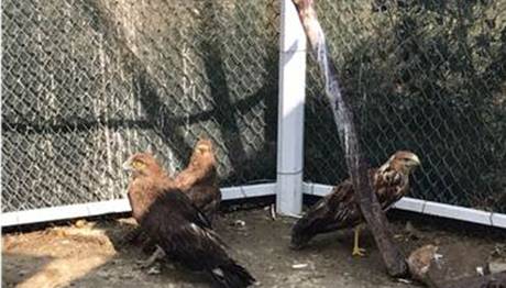 Afyonkarahisar'da Bu Kadarı Da Olmaz Dedirten Olay