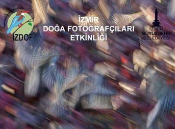 Şimdi boyama zamanı