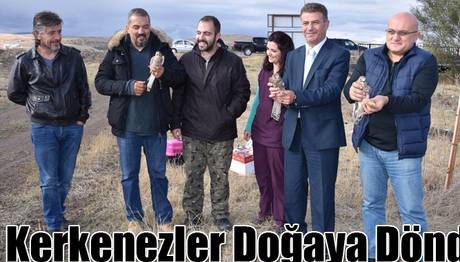 Kerkenezler Doğaya Döndü 