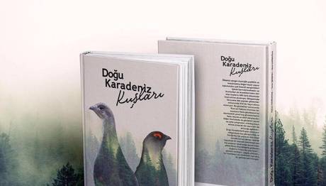 Doğu Karadeniz Kuşları